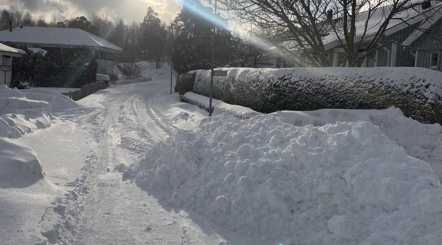 Snö